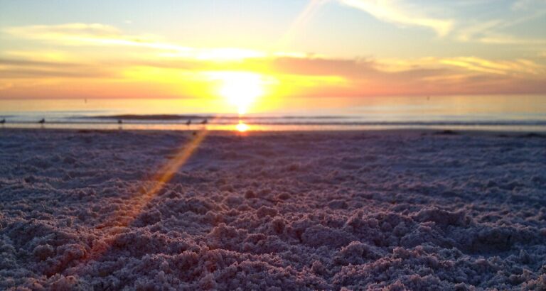 Pool deck with lounge chairs Fifty Gulfside