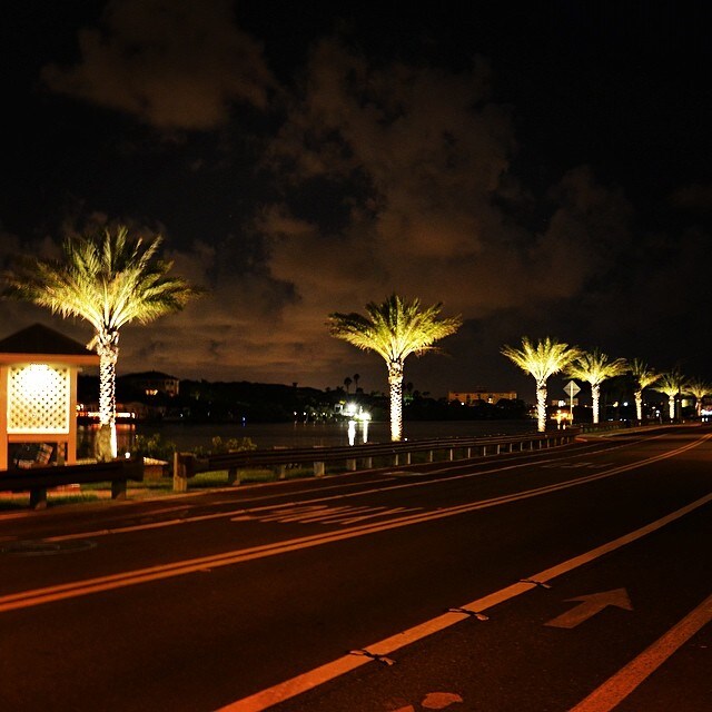 Community pool deck Fifty Gulfside
